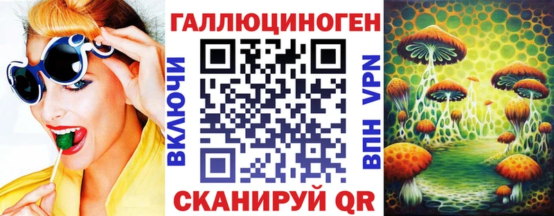 Галлюциногенные грибы Psilocybe  Купить где  Волчанск 